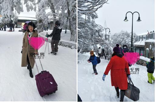 墨尔本,墨尔本自然风光,布勒雪山,澳大利亚布勒雪山温度,墨尔本附近的雪山