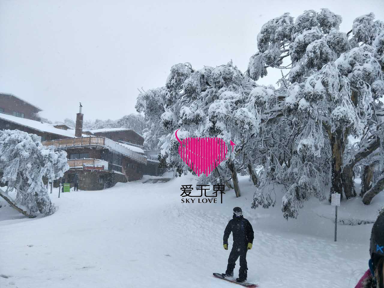 墨尔本,墨尔本自然风光,布勒雪山,澳大利亚布勒雪山温度,墨尔本附近的雪山