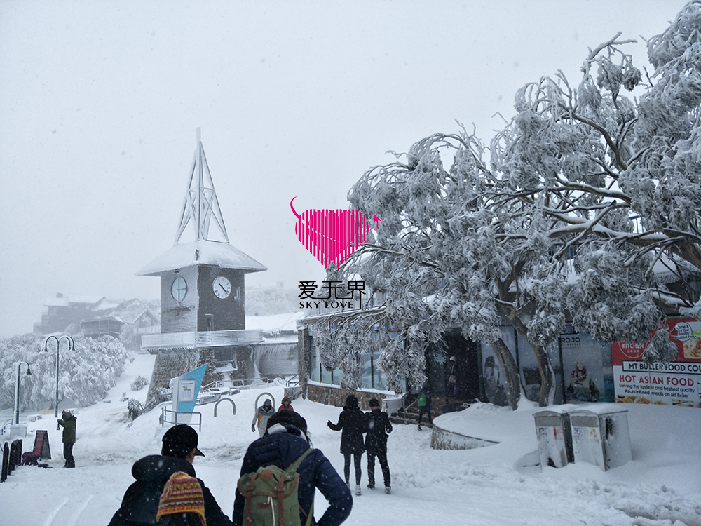 墨尔本,墨尔本自然风光,布勒雪山,澳大利亚布勒雪山温度,墨尔本附近的雪山